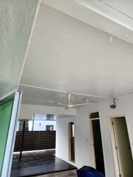 Raffles Park (D11), Detached #556796051
